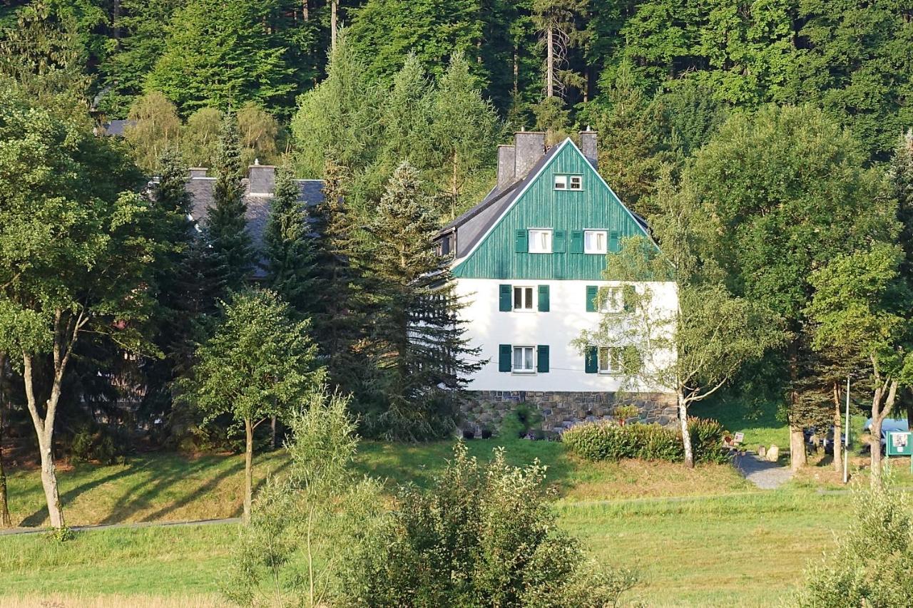 Haus Donnerberg Rehefeld Daire Altenberg  Dış mekan fotoğraf