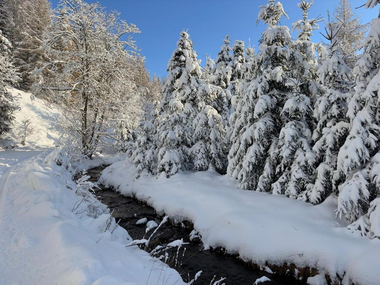 Haus Donnerberg Rehefeld Daire Altenberg  Dış mekan fotoğraf